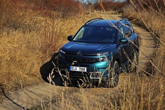 Citroën C5 Aircross vs Peugeot 2008: Que SUV escolher?
